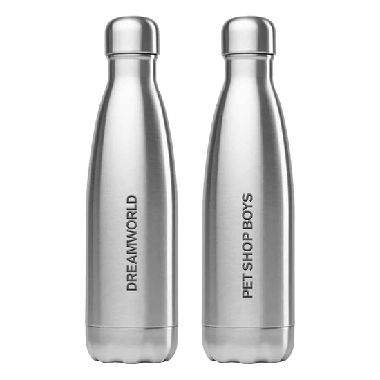 Dreamworld Silver Water Bottle